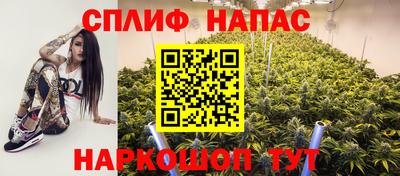 индика Гай