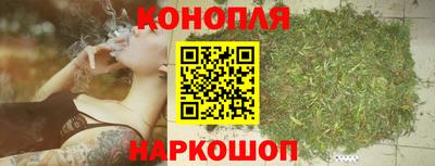 индика Гай