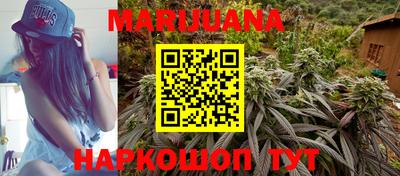 прущие крисы Гатчина