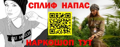 прущие крисы Гатчина
