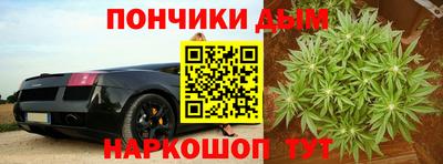 прущие крисы Гатчина