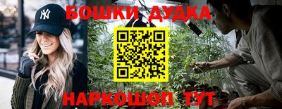 индика Гай