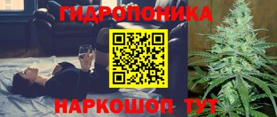 прущие крисы Гатчина