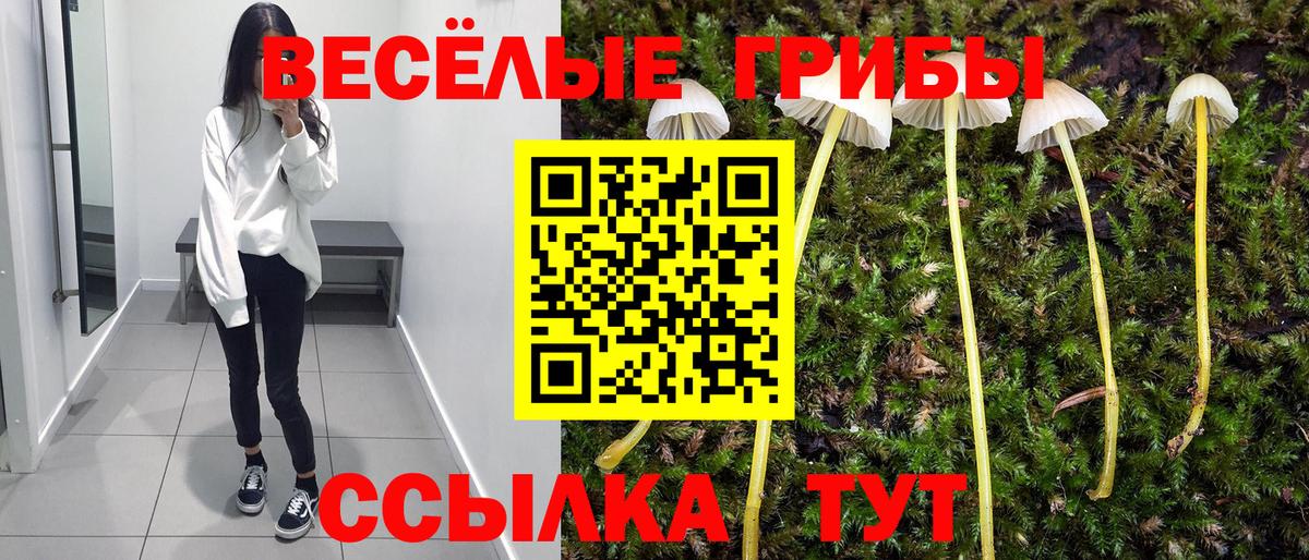 Новокуйбышевск  Галлюциногенные грибы мухоморы  Вход с VPN 